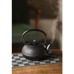Ikenaga Tekki Nozomi Cast Iron Teapot IH 1.4L