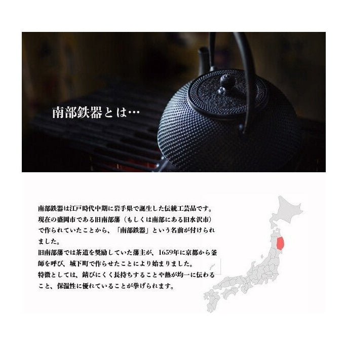 Ikenaga Tekki Nozomi Cast Iron Teapot IH 1.4L