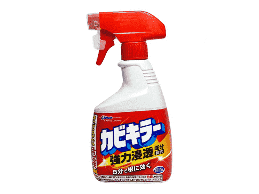 Johnson Mold Killer Foam Spray
