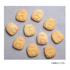 Kai Sumikko Gurashi Penguin Cat Lizard Cookie Cutter 3pc