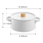 Kaico Enamel Two-Handle Pot