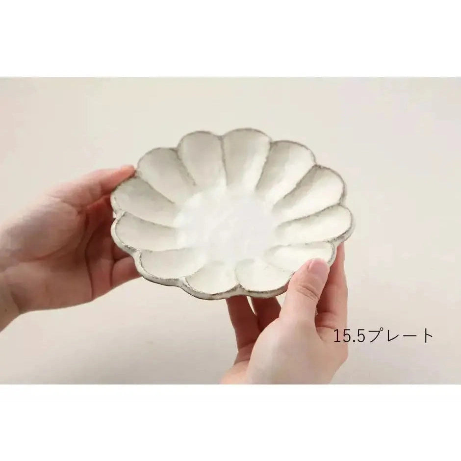 Kaneko Kohyo Rinka Plate Size 5 15.5D