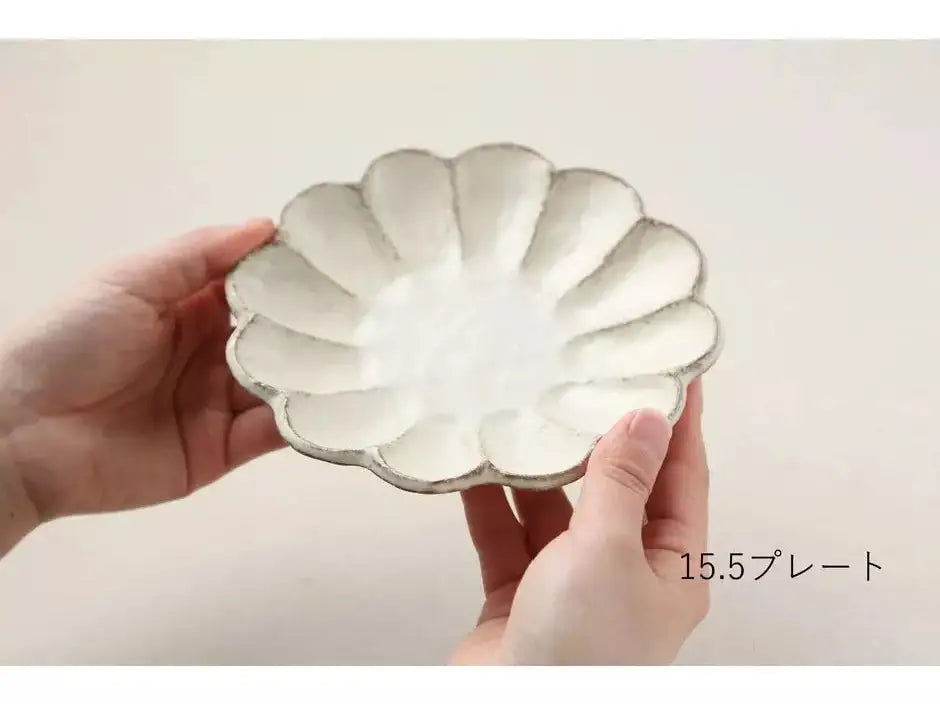 Kaneko Kohyo Rinka Plate Size 5 15.5D