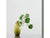 Kinto - SACCO vase glass 03