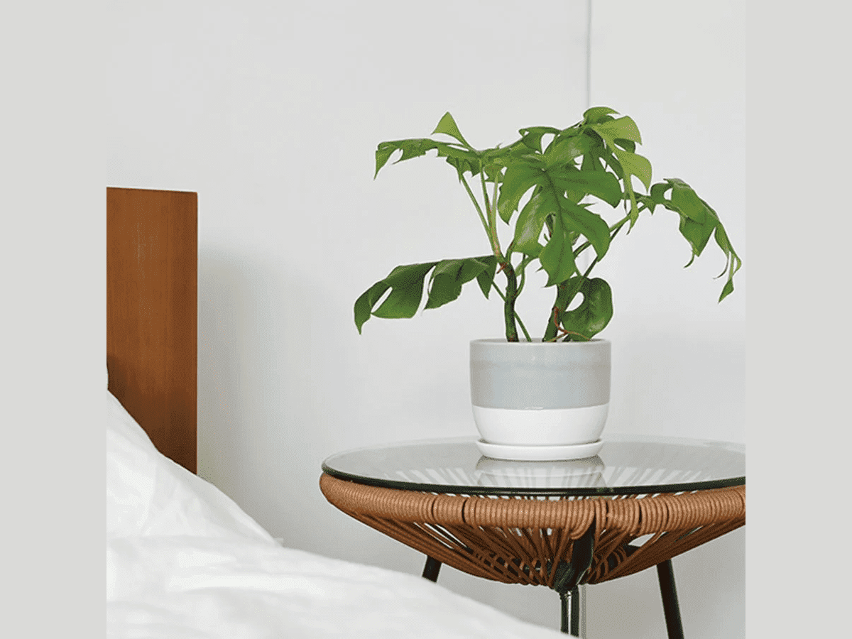 Kinto Plant Pot mm