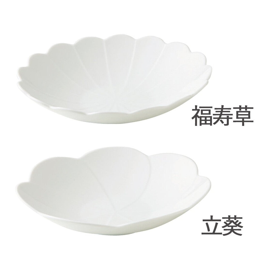 Kotohana Shallow Bowl 21D 5H