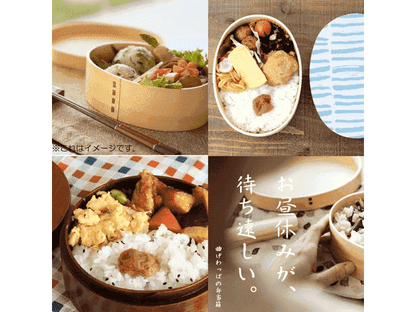 Life Scandi Wave Bento Lunch Box