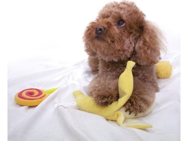 Love Pets Banana