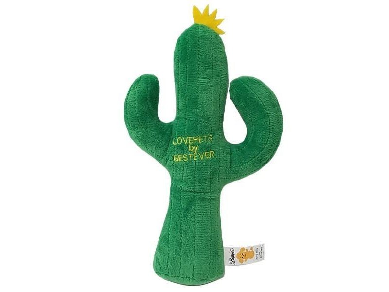Love Pets Cactus