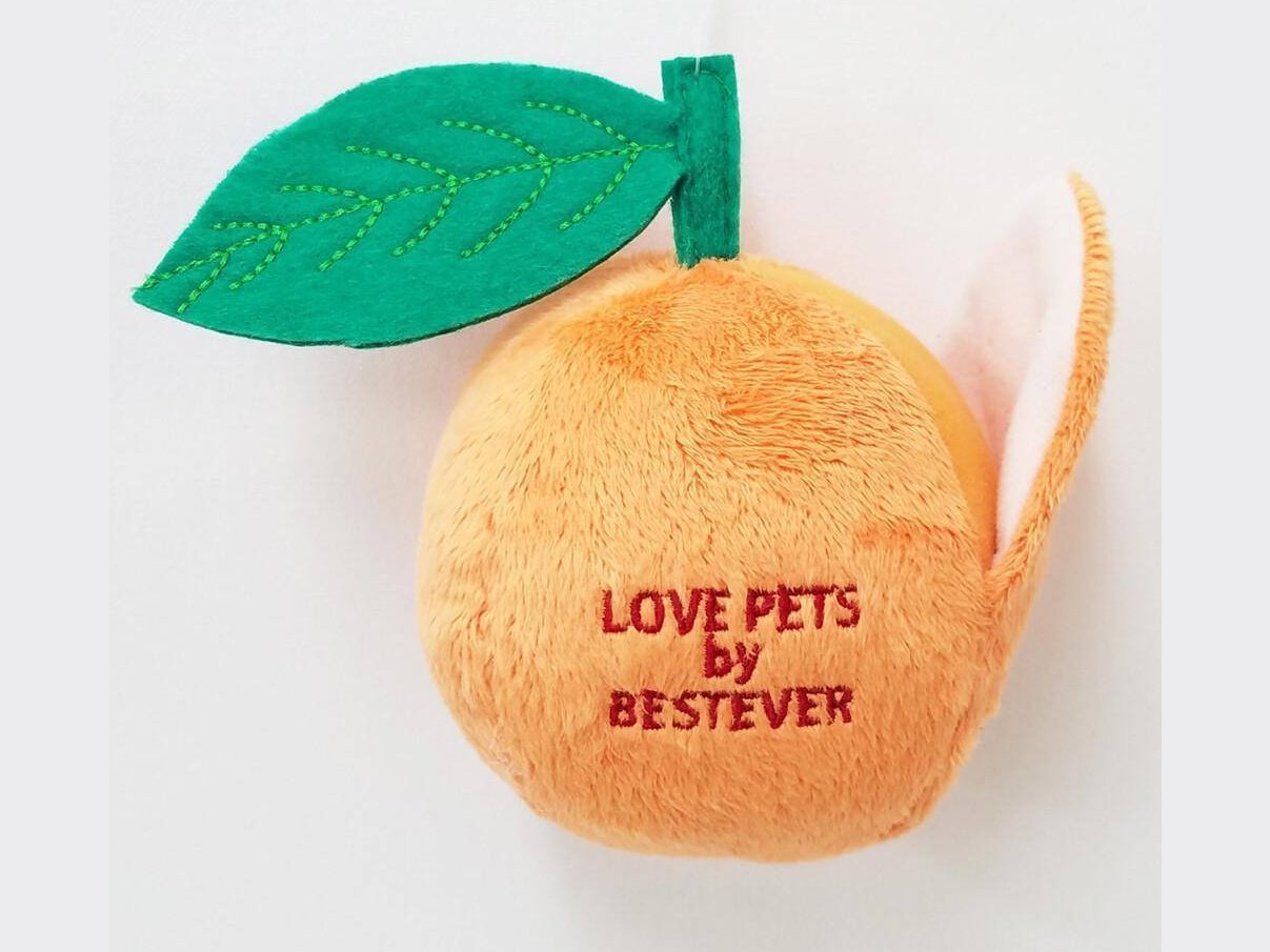 Love Pets Orange