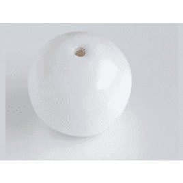 Ihoshiro Dry Flower Vase