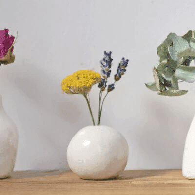 Ihoshiro Dry Flower Vase