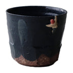 Mino Yaki Bouldering Climbing Cup