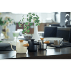 Miyako Single Drip Coffee Kettle