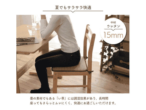 MonoCafe Kobo-Guard Seat Cushion