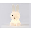 Mr Maria Miffy Bundle of Light