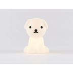 Mr Maria Miffy Bundle of Light