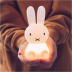 Mr Maria Miffy Bundle of Light