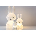 Mr Maria Miffy Star Light