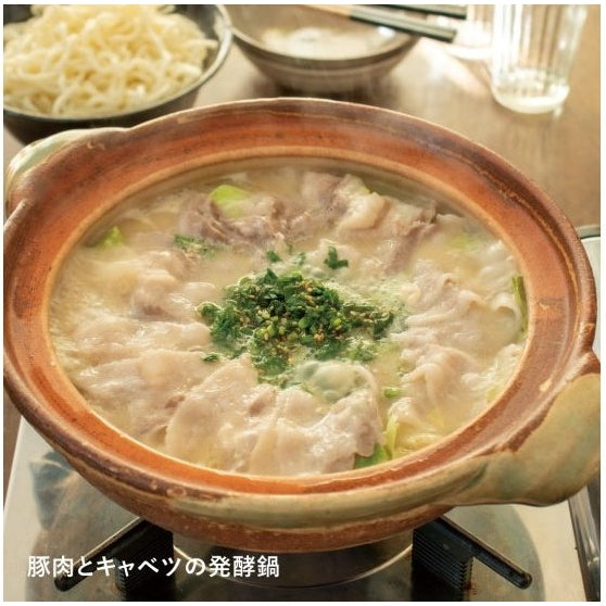 Nagatanien Iga Yu Classic Donabe