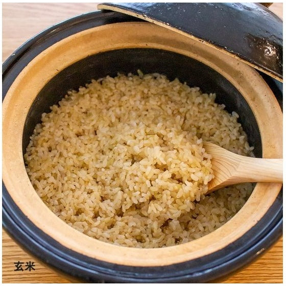 Nagatanien Kamado-san 2.5L Size 5