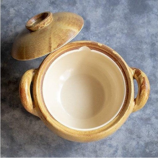 Nagatanien Soup Donabe Pot XL