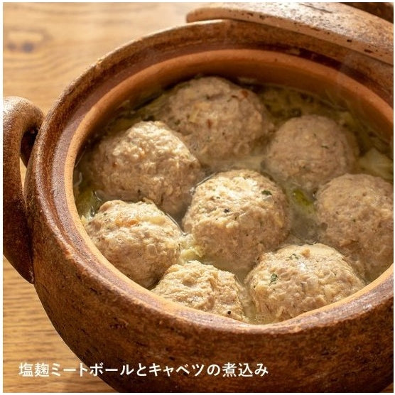 Nagatanien Soup Donabe Pot XL