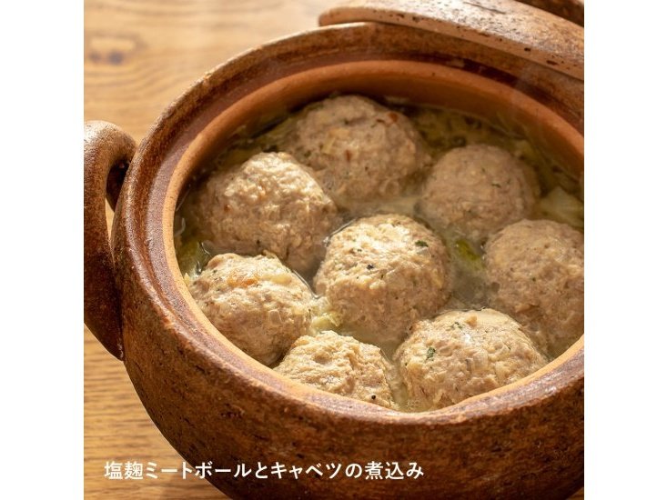 Nagatanien Soup Donabe Pot XL
