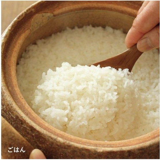 Nagatanien Soup Donabe Pot XL