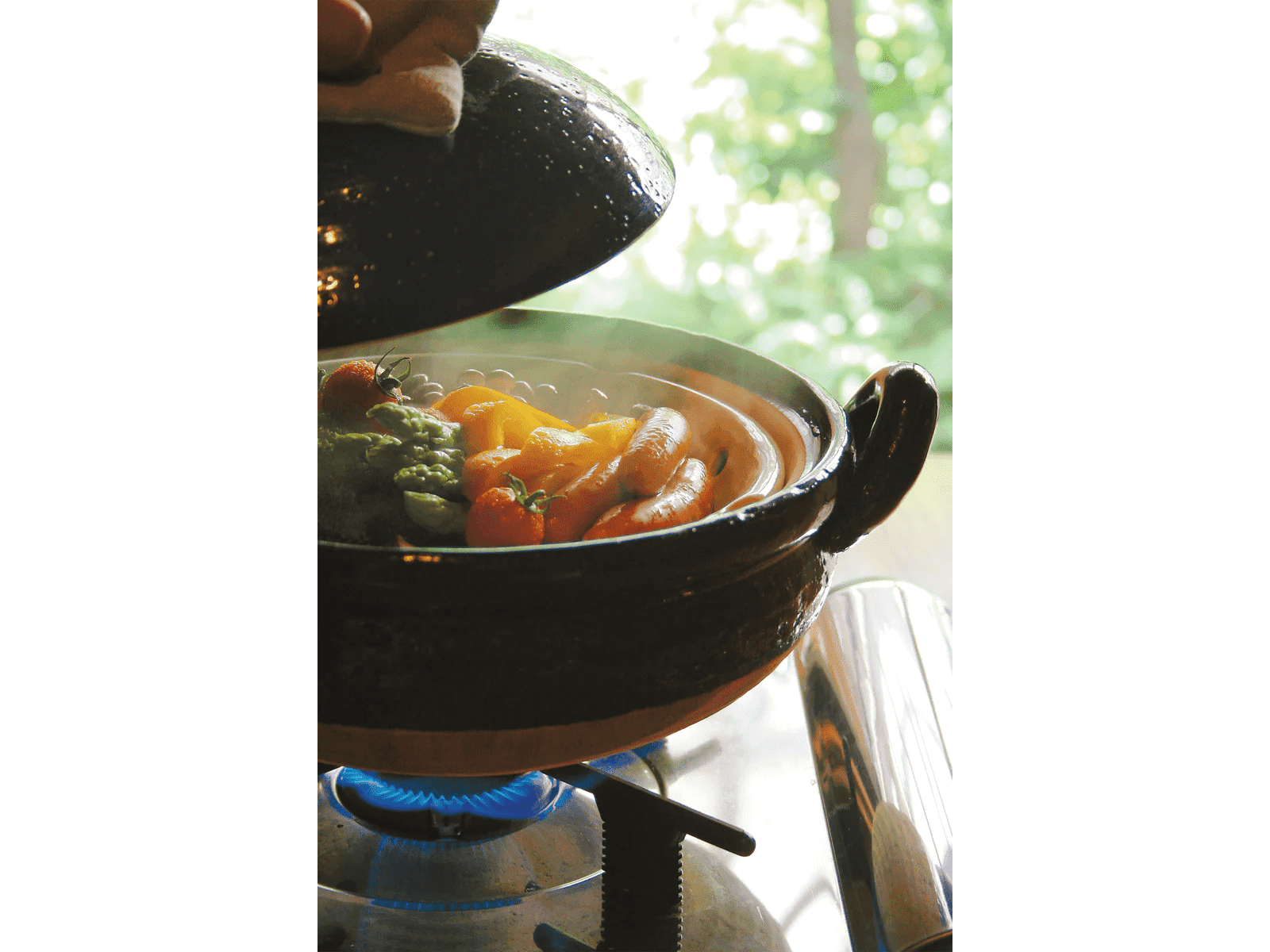 Nagatanien Mushi Nabe Clay Pot Steamer