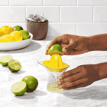 OXO GG SMALL CITRUS JUICER