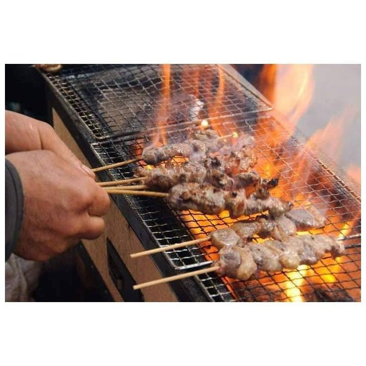 Okunoto Japanese Hibachi Grill Small