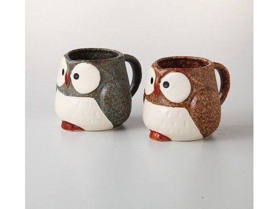 Palmart Owl Pair Mug