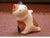 Ryukodo Chigiri Japanese Paper Peeping Cat