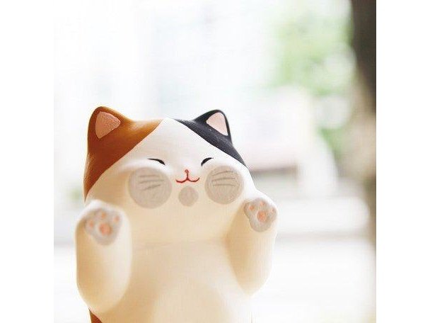 Ryukodo Flat Face Cat