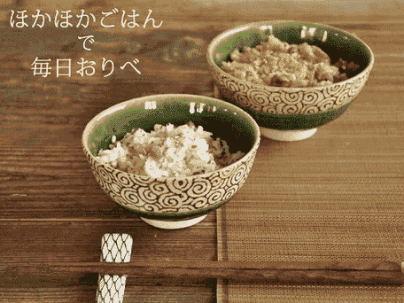 Seto Oribe Floral Arabesque Rice Bowl