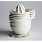 Shikika Porcelain Juicer