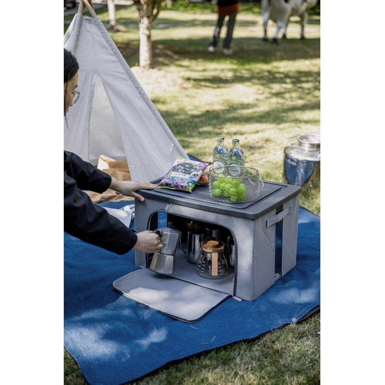 Shimoyama ADV Collapsible Fabric Storage Box Lid