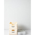 Shimoyama ADV Foldable Storage Crate 12L