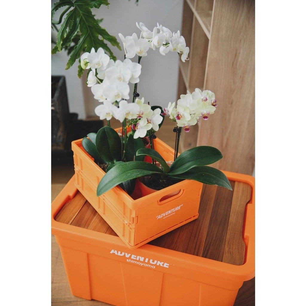 Shimoyama ADV Foldable Storage Crate 12L