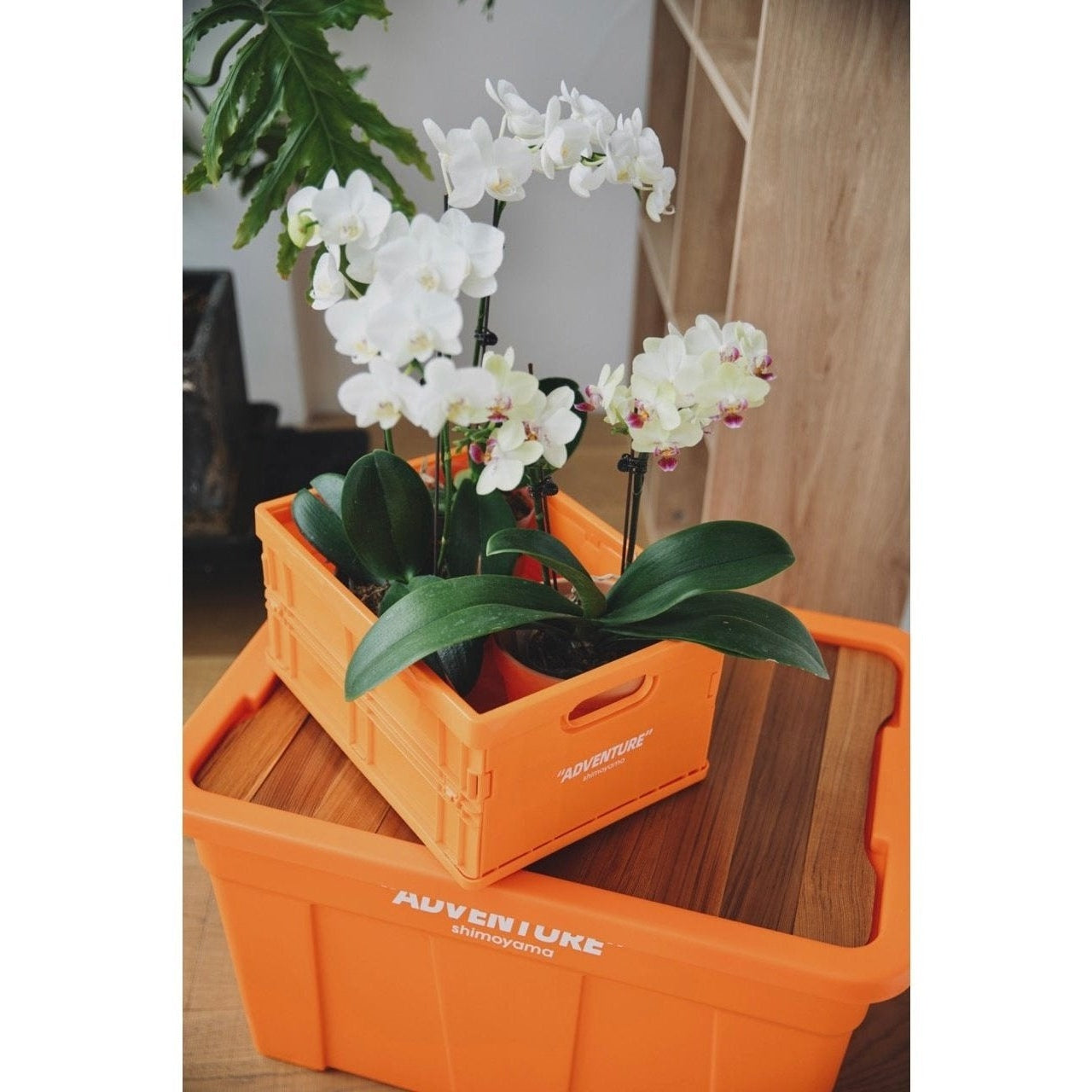 Shimoyama ADV Foldable Storage Crate 12L