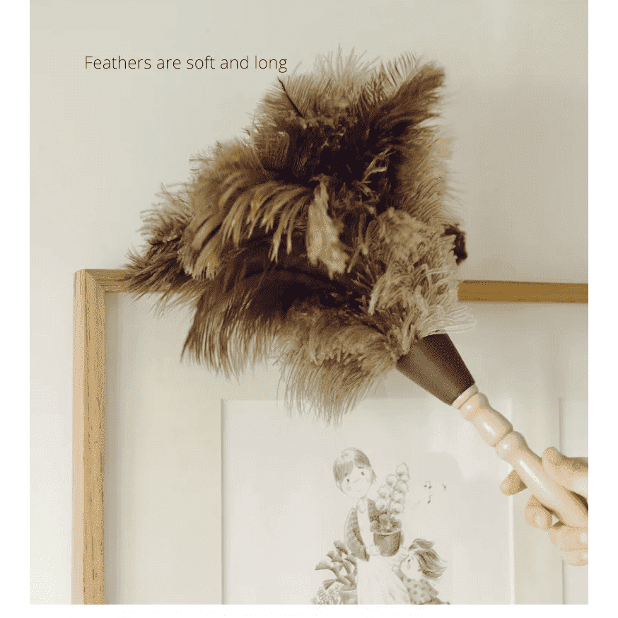 Shimoyama Anti-Static Ostrich Feather Long Handle