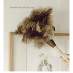 Shimoyama Anti-Static Ostrich Feather Long Handle