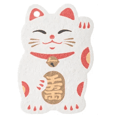 Shimoyama Expandable Cleaning Sponge