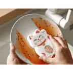 Shimoyama Expandable Cleaning Sponge