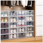 Shimoyama Transparent Shoe Box