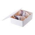 Shimoyama Underwear Storage Box