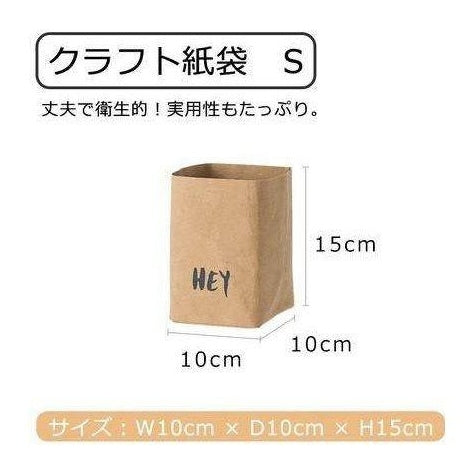 Shimoyama Washable Kraft Paper Bag-S