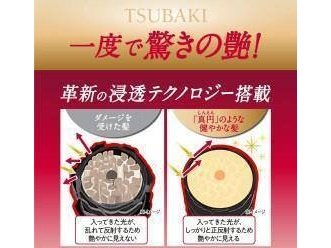 Shiseido Ft Tsubaki Premium Moist Hair Conditioner