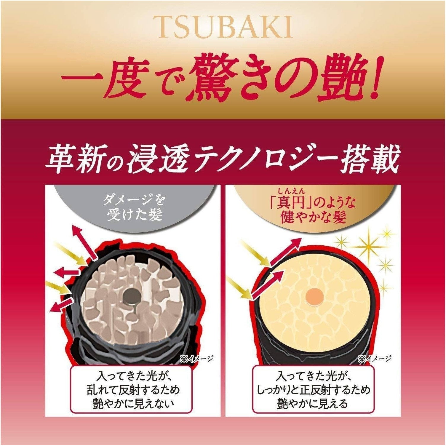 Shiseido Ft Tsubaki Premium Moist Shampoo